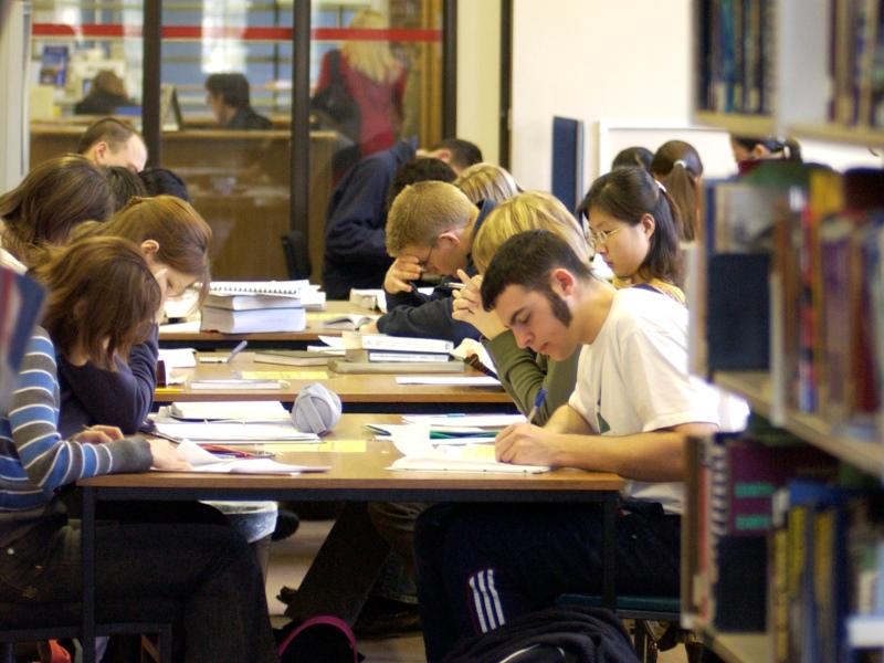 Undergraduate students in the library